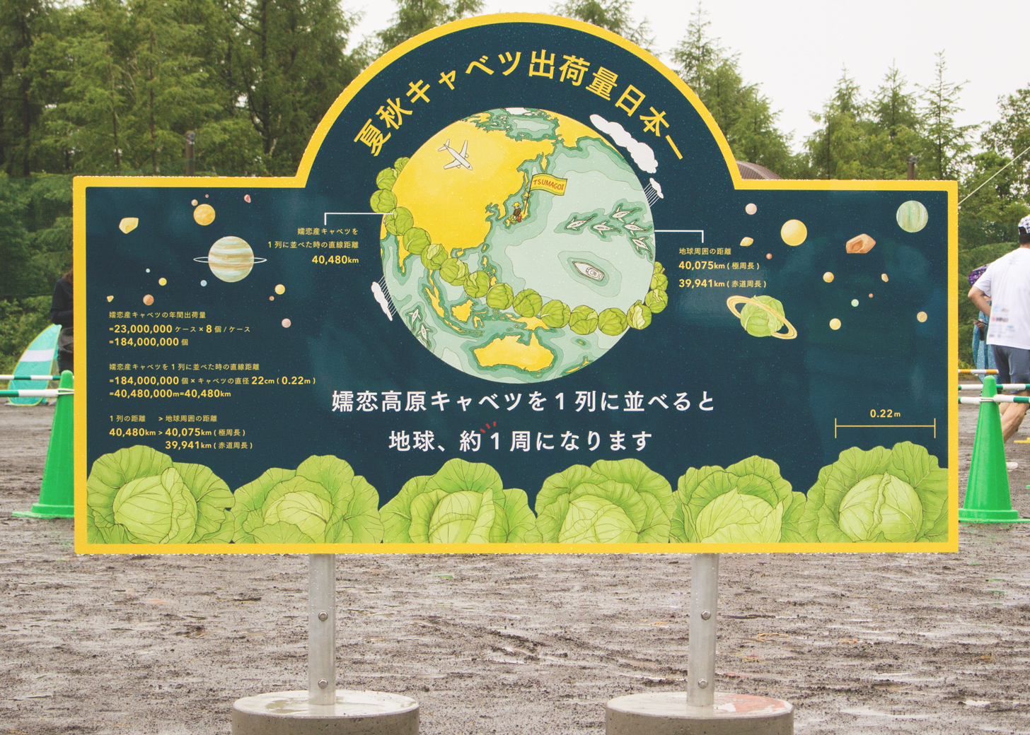 夏秋キャベツ出荷量日本一の看板デザイン