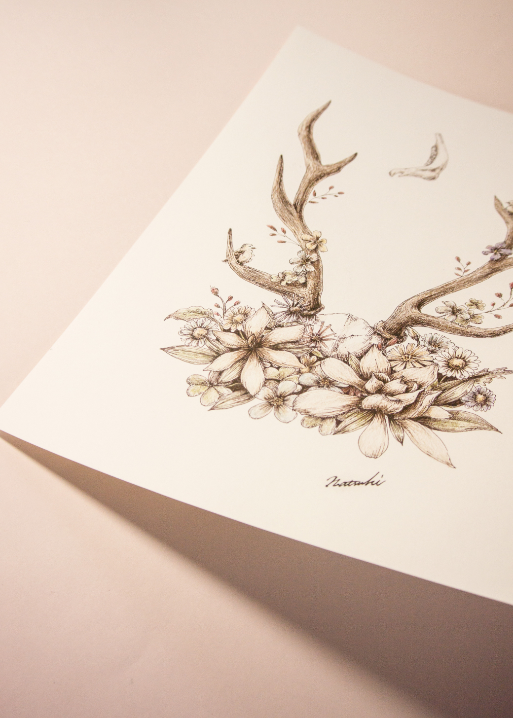 deer hornのイラストレーション