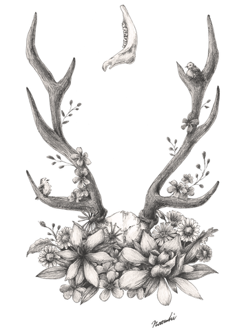 deer hornのサムネイル